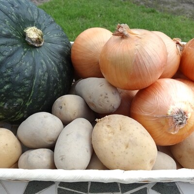 北海道恵庭産 3種 野菜詰め合わせセット