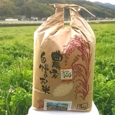 30年産 福岡県川崎町安宅(あたか)産「ヒノヒカリ」5kg