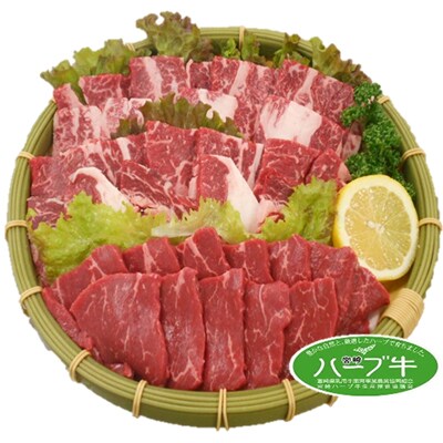 宮崎ハーブ牛 焼肉セット750g