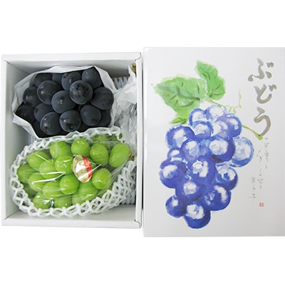 高松産季節の果物【ぶどうセット】シャインマスカット550g、ピオーネ600g