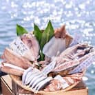 グルメ大賞受賞【無添加・無着色】唐津産 旬のひもの三昧セット