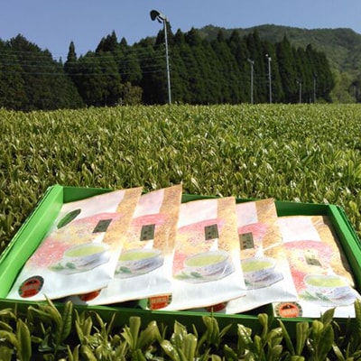 【新茶】西井製茶の上煎茶「日向の葉香」5袋セット