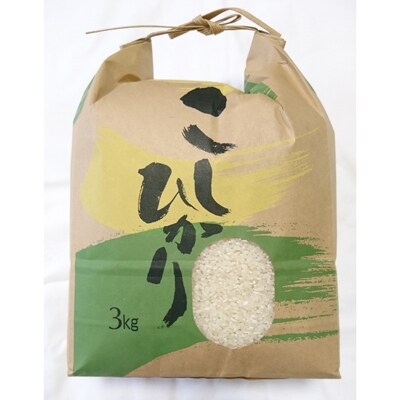 【2019年産】高知県産 コシヒカリ約3kg