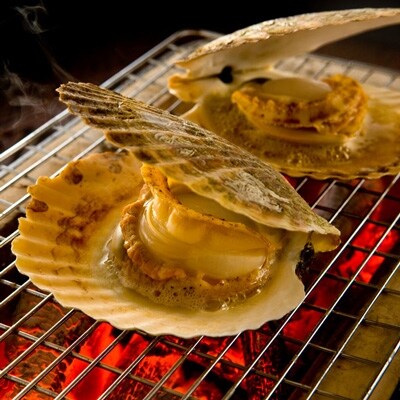 泳ぐホタテ超特大サイズ (14.5cm以上)(5枚入)