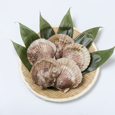 泳ぐホタテ超特大サイズ (14.5cm以上)(5枚入)