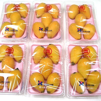 高松産季節の果物【びわ】約1.5kg