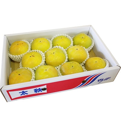 大玉　太秋柿　約3.7kg