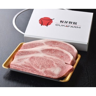 都城産宮崎牛リブロースステーキ300g×2