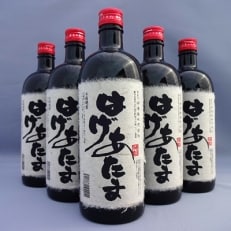 神酒造 ハチャメチャ!!ハゲオンズ大集合!はげあたま720ml&times;5本セット