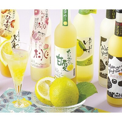 果肉入りフルーツリキュール6本セット(各500ml)