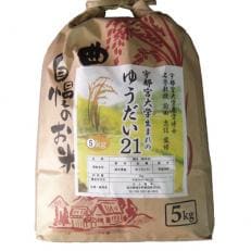 塩谷産米『ゆうだい21』 無洗米 5kg