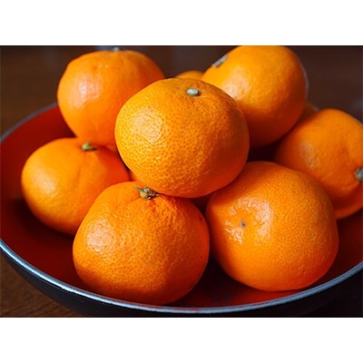 【産直】下津蔵出しみかん約5kg(S～Lサイズおまかせ)