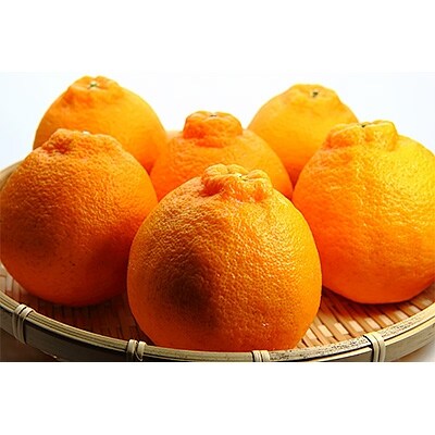 【厳選】和歌山産不知火約5kg(デコ)(20玉～28玉)
