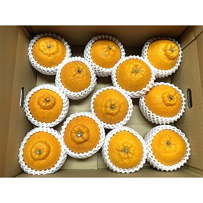 【厳選】和歌山産不知火約3kg(デコ)(12玉～17玉)