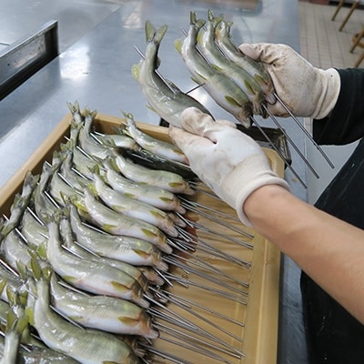 鮎甘露煮 12尾セット(若鮎・本鮎・子持 各4尾)