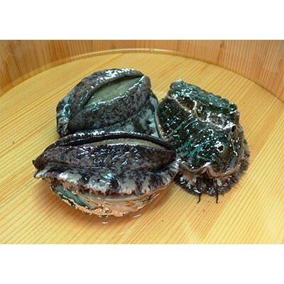 やわコリ食感紀州活アワビ(10-13個入)