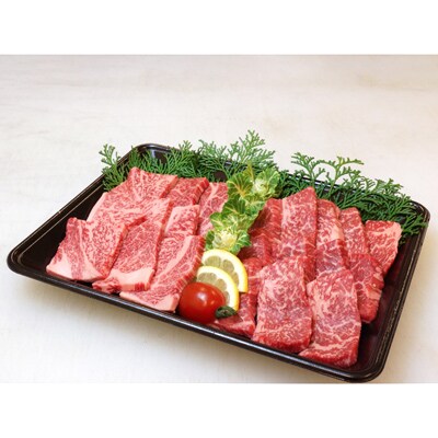 宮崎牛焼肉2点セット(もも焼肉・肩ロース焼肉)