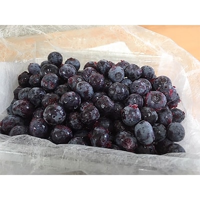 【叶え屋】上毛町産ブルーベリー　生果実　500g×2パック