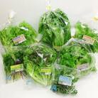 クリーン健康野菜セット