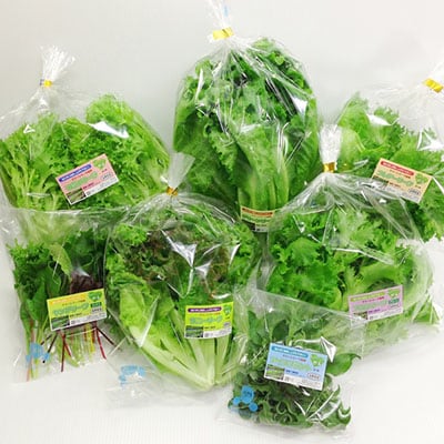 クリーン健康野菜セット