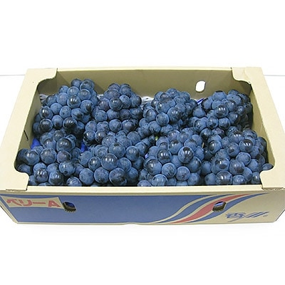 マスカットベリーA約4kg