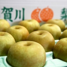 梨　3kg(8～10個)