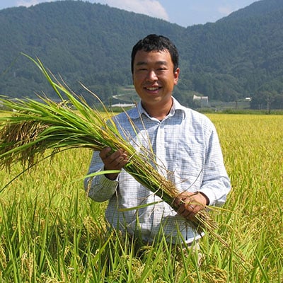 『風さやか』2kg×3 北信州こやなぎファーム直送