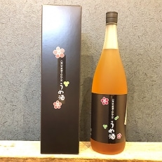 「2021年5月中旬発送」八海山の原酒で仕込んだ「うめ酒」一升瓶(1800ml)