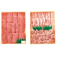 長崎和牛・豚・鶏 焼肉セット(計1kg)
