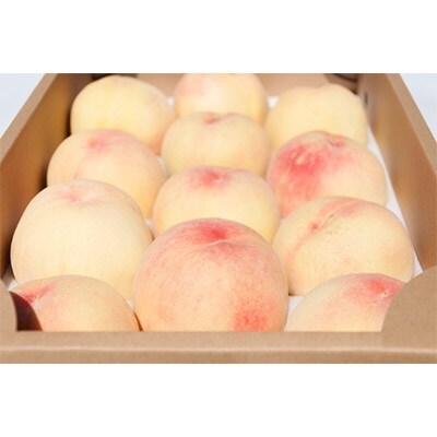 【産直】和歌山のブランド桃「あら川の桃」約4kg・秀品 2020年6月以降発送