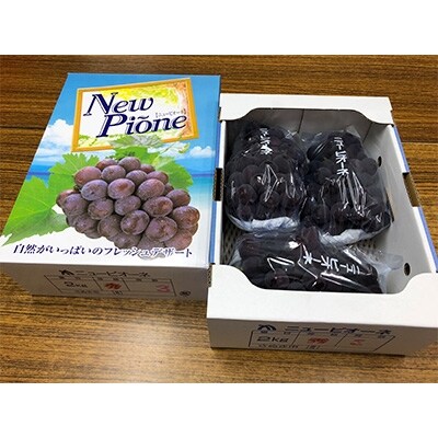 ピオーネ　約2kg