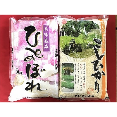 厳選　庄内米　2種食べくらべ(コシヒカリ・ひとめぼれ)　計10kg