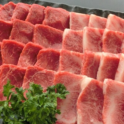 【阿蘇あか牛】焼肉2種セット500g