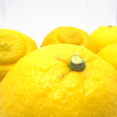 【先行受付 2026年1月～発送】【人気柑橘】有田育ちのご家庭用はるかみかん　5kg