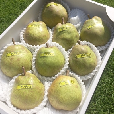 ラ・フランス約3kg(5玉～10玉)
