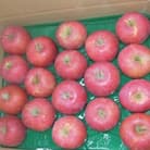 りんご(ふじ) 約5kg(14玉～18玉)