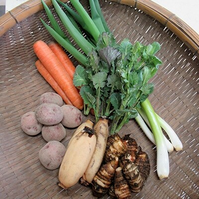 【京都府木津川市産】自然体な野菜セット