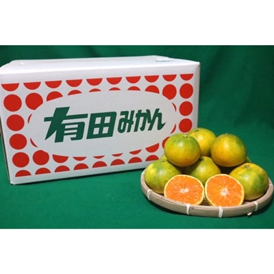 先行受付【大玉】和歌山の有田みかん(極早生)　約10kg　2L～4Lサイズ混合