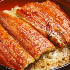ふるさと納税 うなぎ さとふる