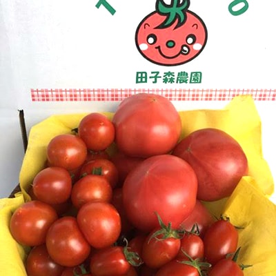 田子森農園で育てたトマトの詰め合わせ(3種)