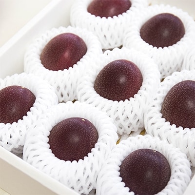 【さとふる限定】奄美大島産パッションフルーツ 約1.0kg×2箱 (24玉)  【秀品】