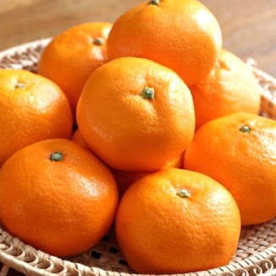 [秀品]和歌山有田ブランド「賢みかん」約10kg(2Sサイズ)