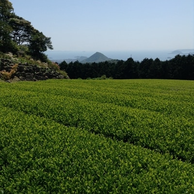 平成24年黄綬褒章受章　北村茶園の有機緑茶(抹茶入り)ティーバッグと三川内焼ひとり唐子茶香炉のセット