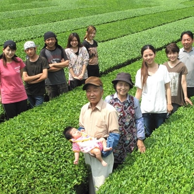 平成24年黄綬褒章受章　北村茶園の有機栽培茶　人気のお煎茶3種セット