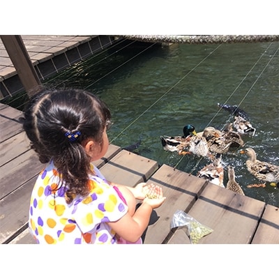 稲積水中鍾乳洞入園ペアチケット