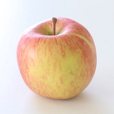 【訳あり品】 長野県産・サンふじ(約10kg)