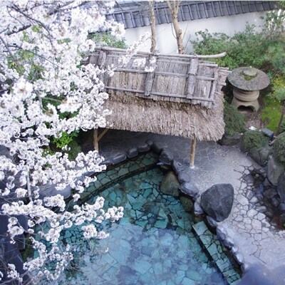 湯村温泉 朝野家 和室(10畳) 一泊二食付宿泊券(2名様ペア・平日限定)