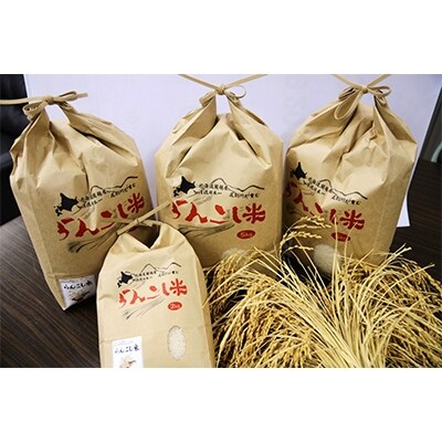 らんこし米 2kg(令和元年産 ななつぼし)