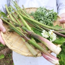 【休前日を除く平日限定】白山の地の食材に拘った【お肉一切無しのヘルシー炭火膳付き】ペア宿泊券