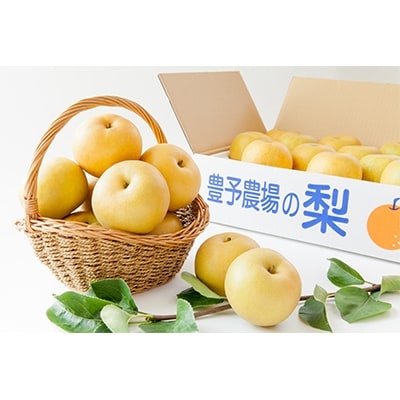 野菜ソムリエが育てた九州・大分県杵築産　豊予農場の特選「豊水梨」10kg(5㎏×2箱)10～28玉